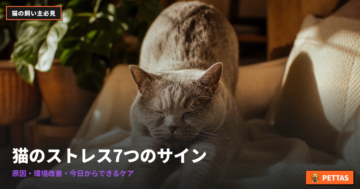 猫のストレス7つのサイン｜原因・環境改善・今日からできるケア