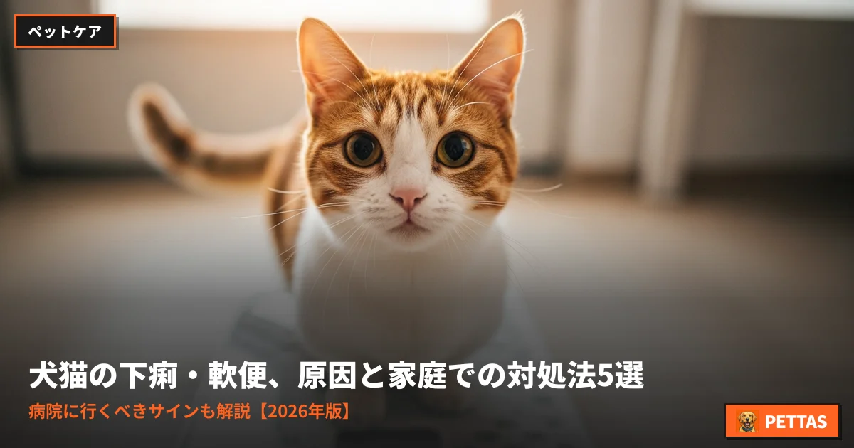 犬猫の下痢・軟便、原因と家庭での対処法5選｜病院に行くべきサインも解説【2026年版】