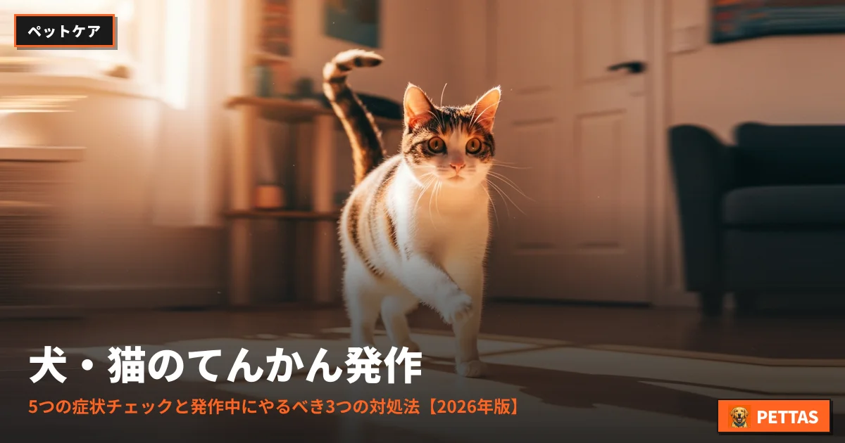犬・猫のてんかん発作｜5つの症状チェックと発作中にやるべき3つの対処法【2026年版】
