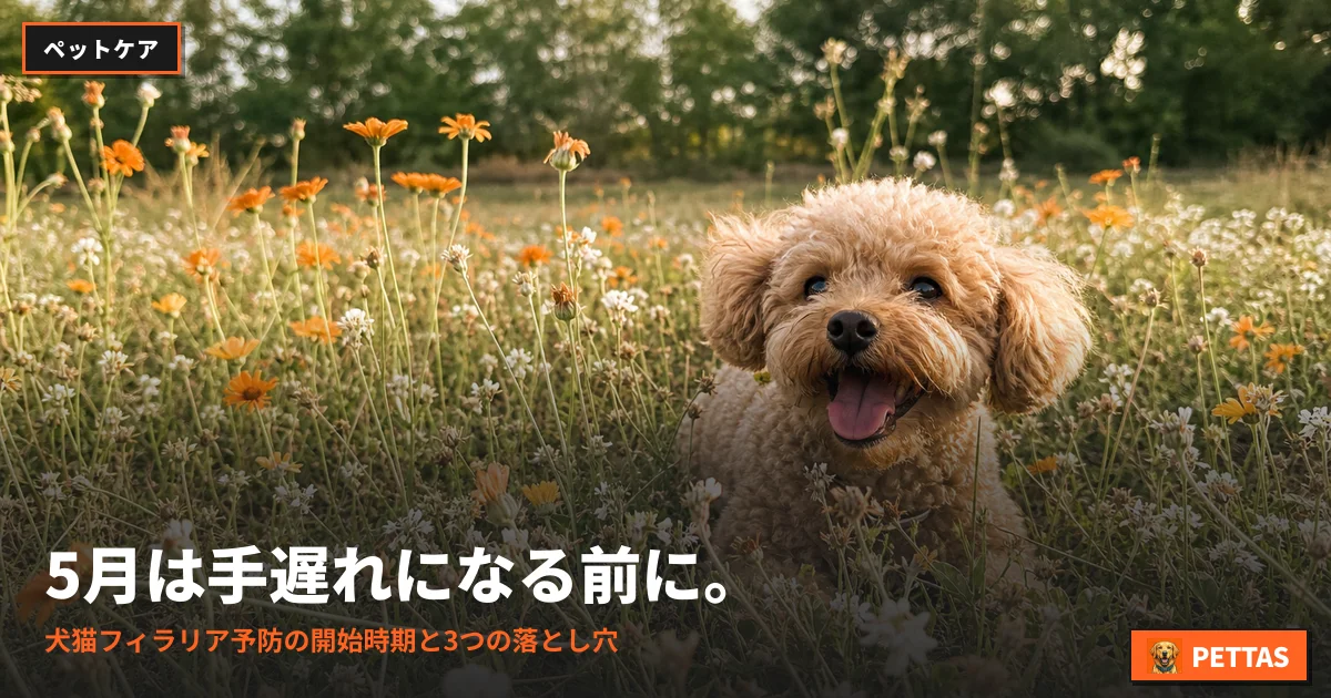 5月は手遅れになる前に。犬猫フィラリア予防の開始時期と3つの落とし穴