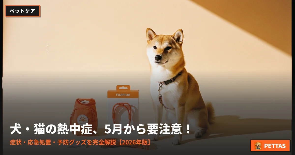 犬・猫の熱中症、5月から要注意！症状・応急処置・予防グッズを完全解説【2026年版】