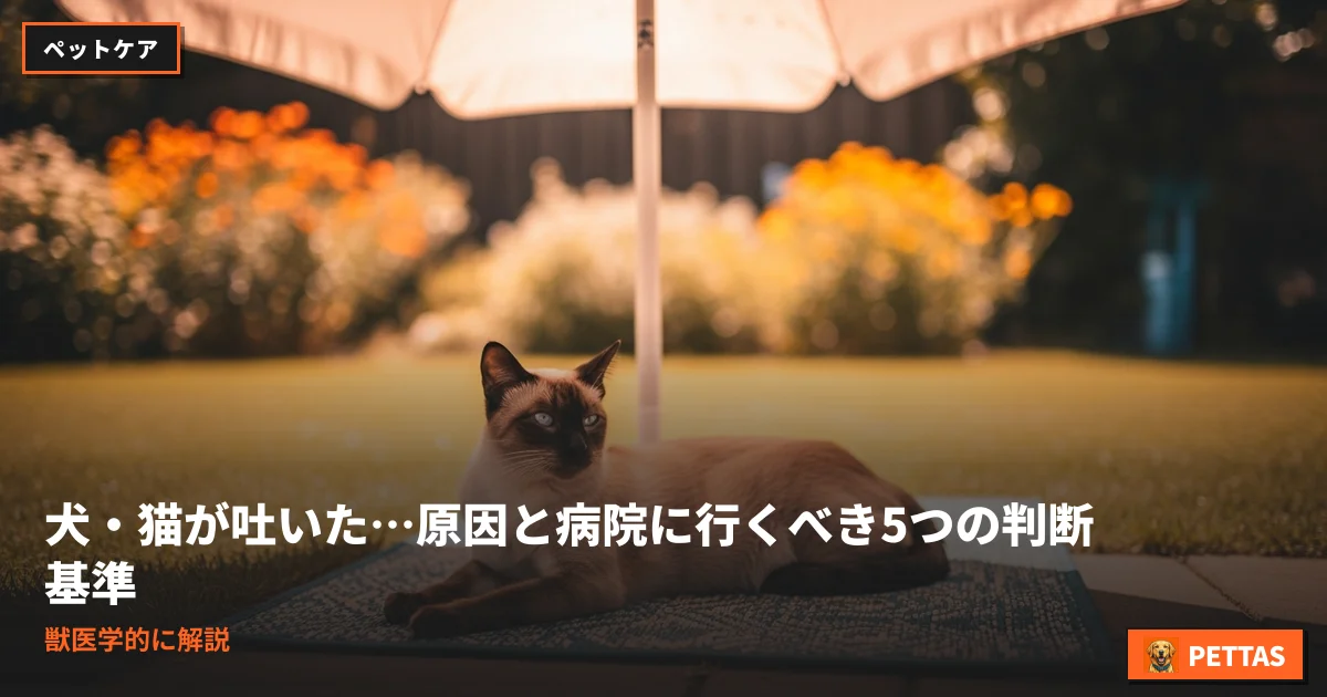 犬・猫が吐いた…原因と病院に行くべき5つの判断基準｜獣医学的に解説