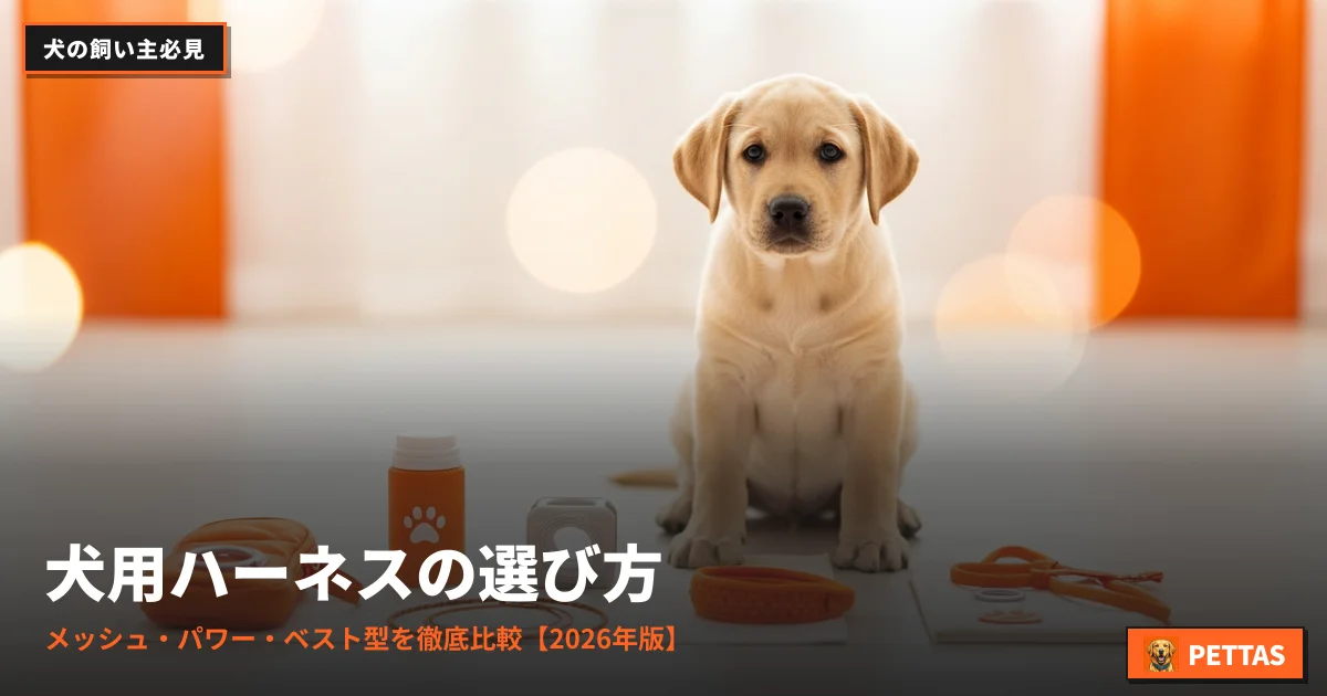 犬用ハーネスの選び方｜メッシュ・パワー・ベスト型を徹底比較【2026年版】