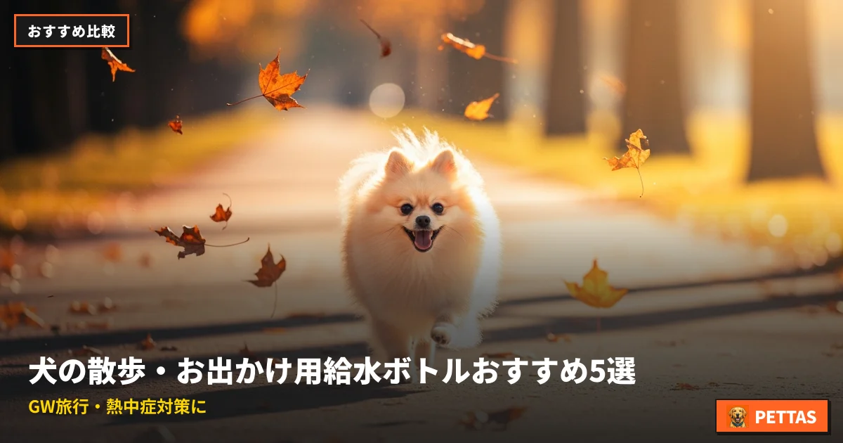 犬の散歩・お出かけ用給水ボトルおすすめ5選｜GW旅行・熱中症対策に