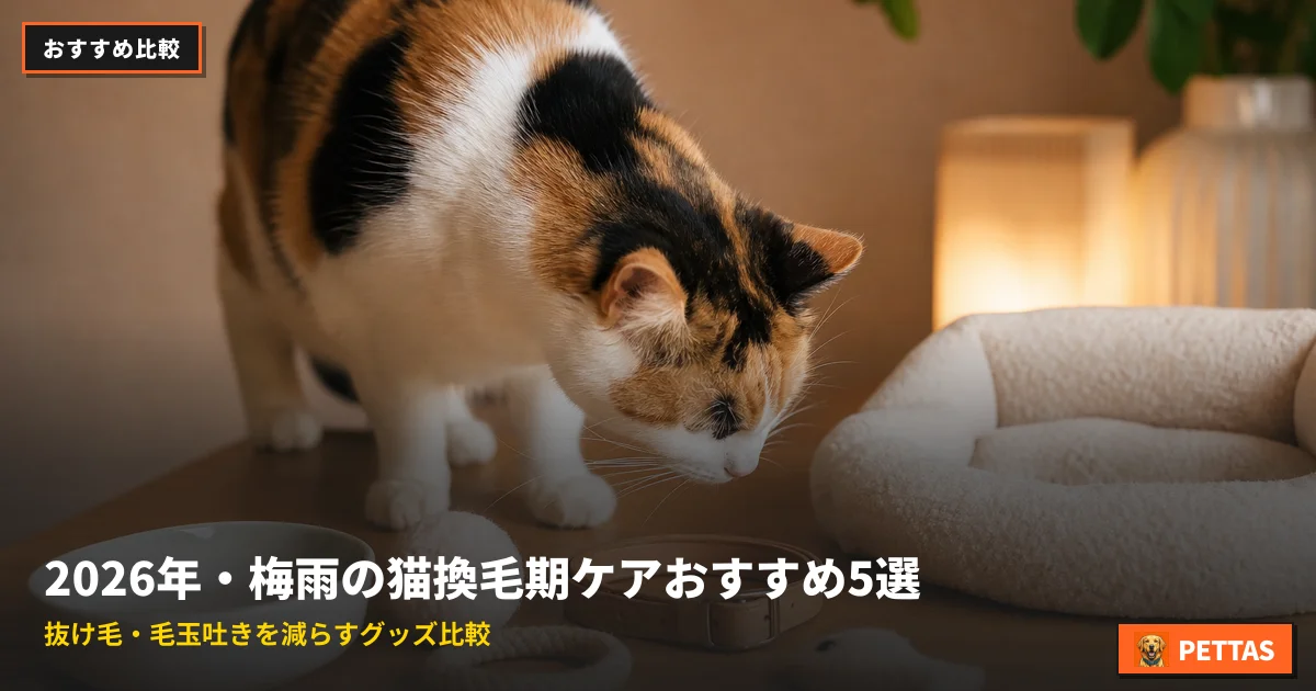 2026年・梅雨の猫換毛期ケアおすすめ5選｜抜け毛・毛玉吐きを減らすグッズ比較