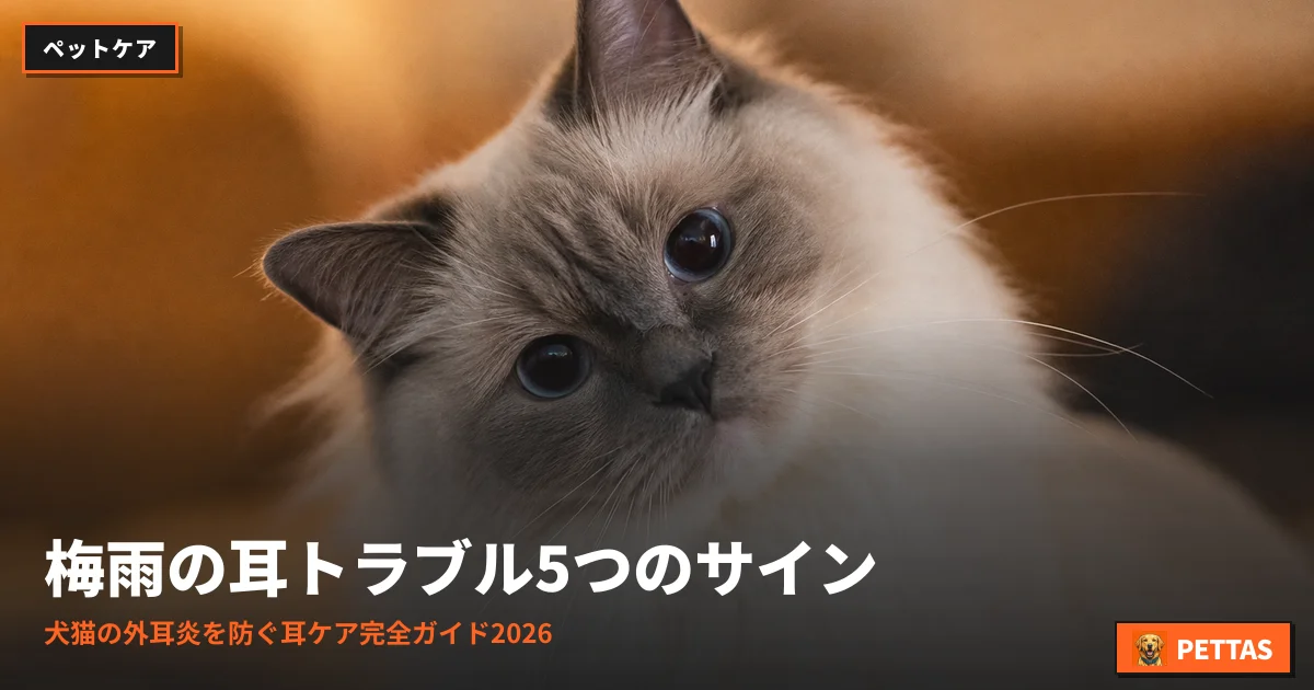 梅雨の耳トラブル5つのサイン｜犬猫の外耳炎を防ぐ耳ケア完全ガイド2026
