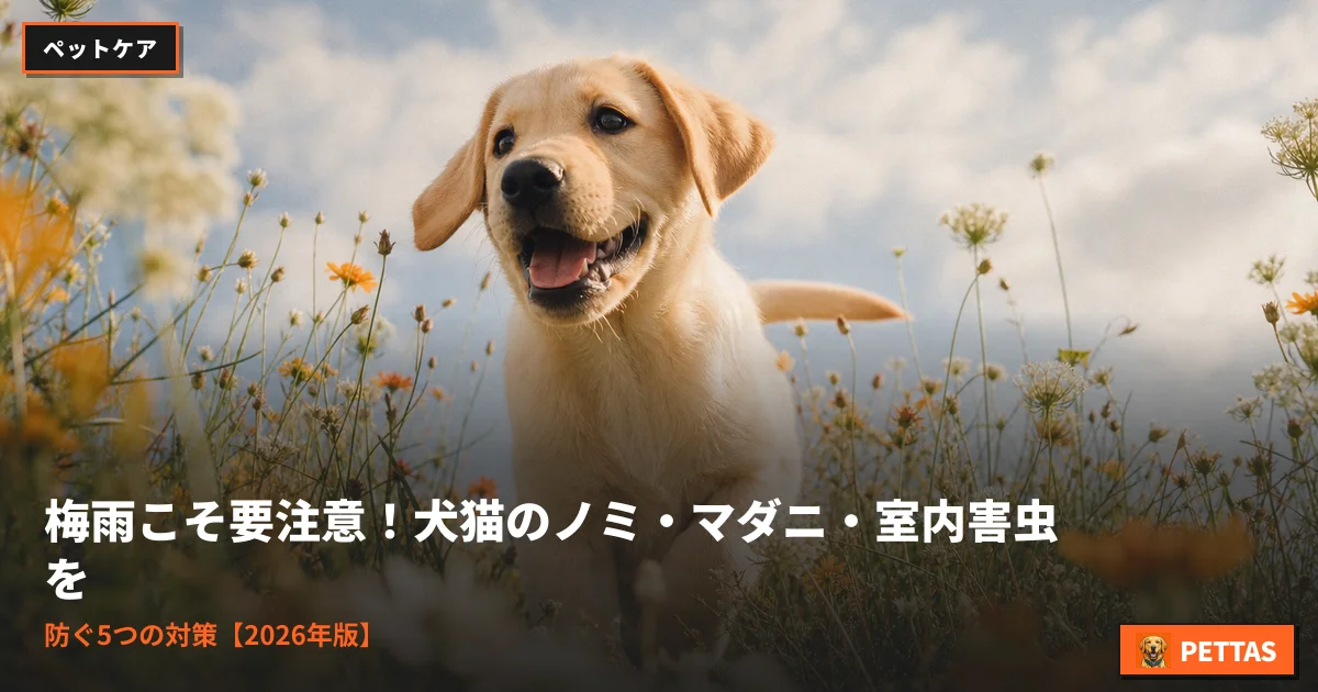 梅雨こそ要注意！犬猫のノミ・マダニ・室内害虫を防ぐ5つの対策【2026年版】