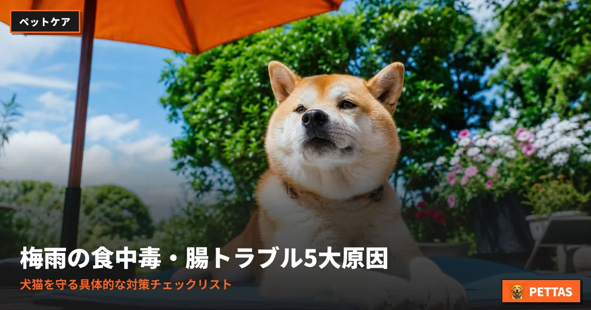 梅雨の食中毒・腸トラブル5大原因｜犬猫を守る具体的な対策チェックリスト