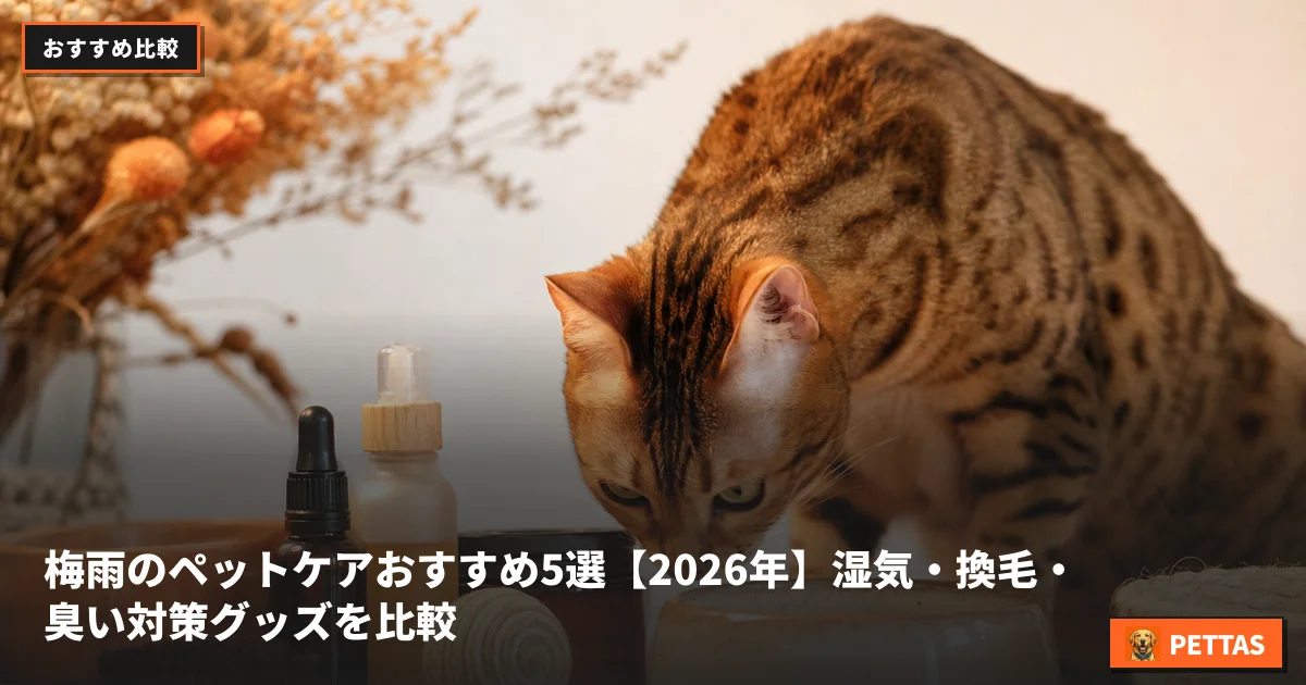 梅雨のペットケアおすすめ5選【2026年】湿気・換毛・臭い対策グッズを比較
