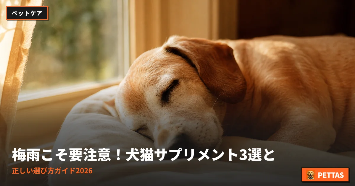 梅雨こそ要注意！犬猫サプリメント3選と正しい選び方ガイド2026