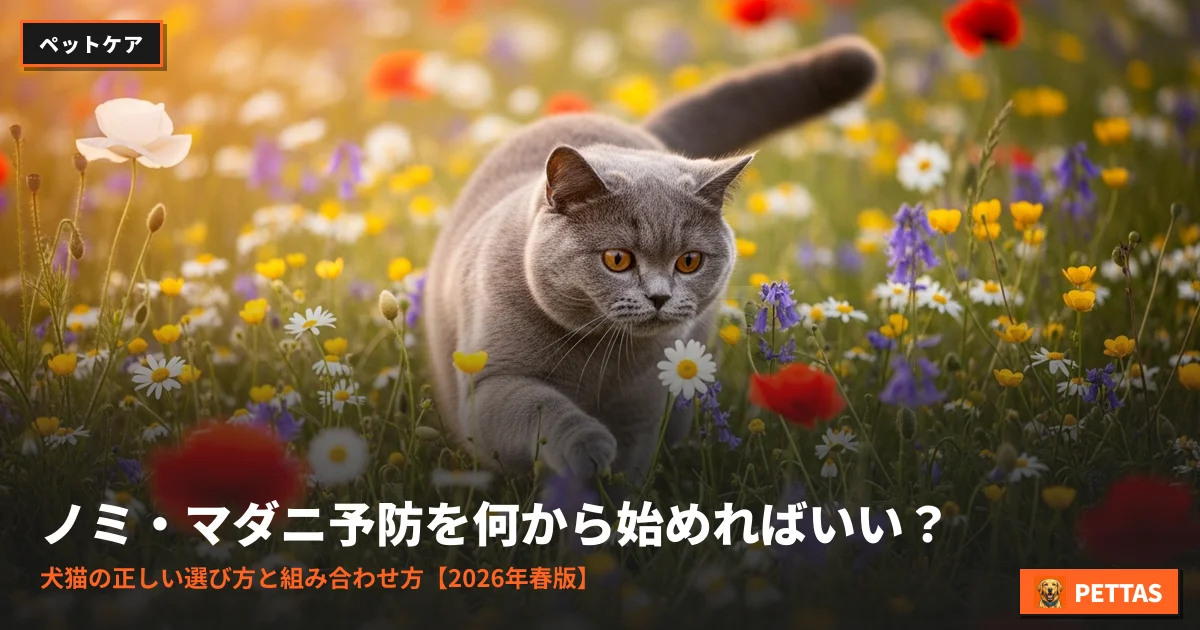 ノミ・マダニ予防を何から始めればいい？犬猫の正しい選び方と組み合わせ方【2026年春版】