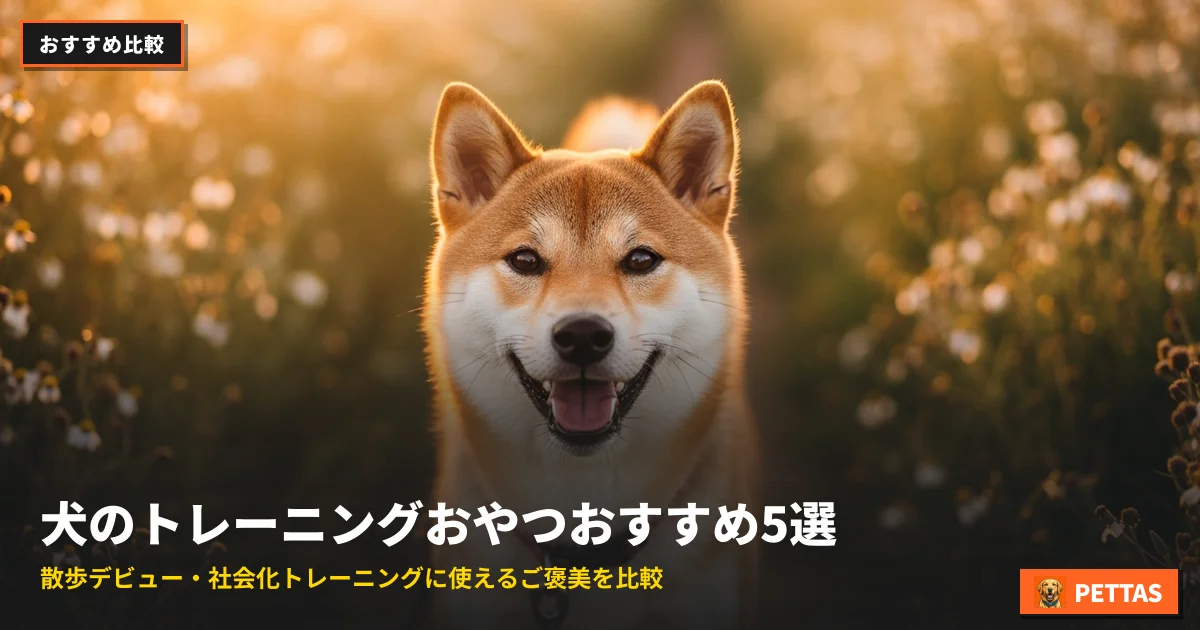 犬のトレーニングおやつおすすめ5選｜散歩デビュー・社会化トレーニングに使えるご褒美を比較