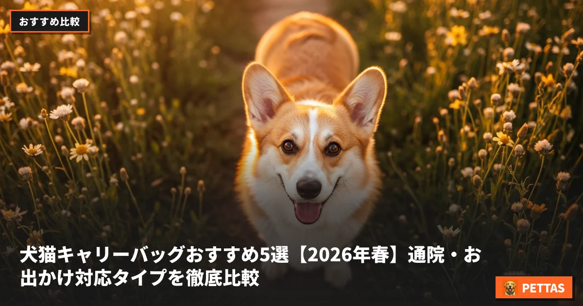 犬猫キャリーバッグおすすめ5選【2026年春】通院・お出かけ対応タイプを徹底比較